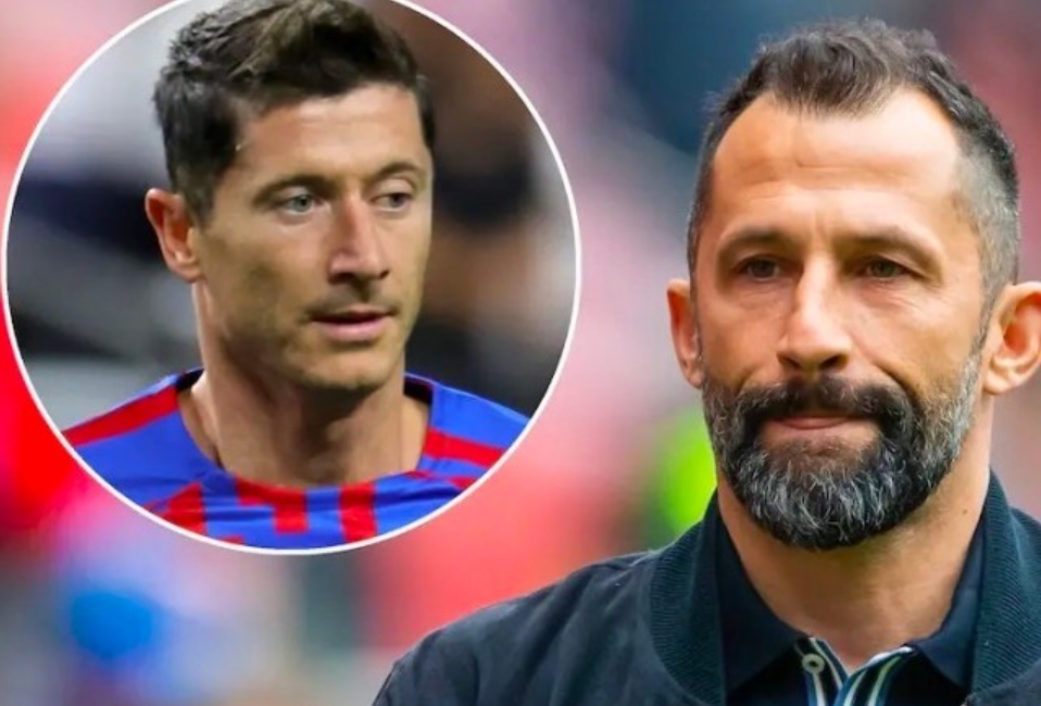 了他们对未 了他们对未