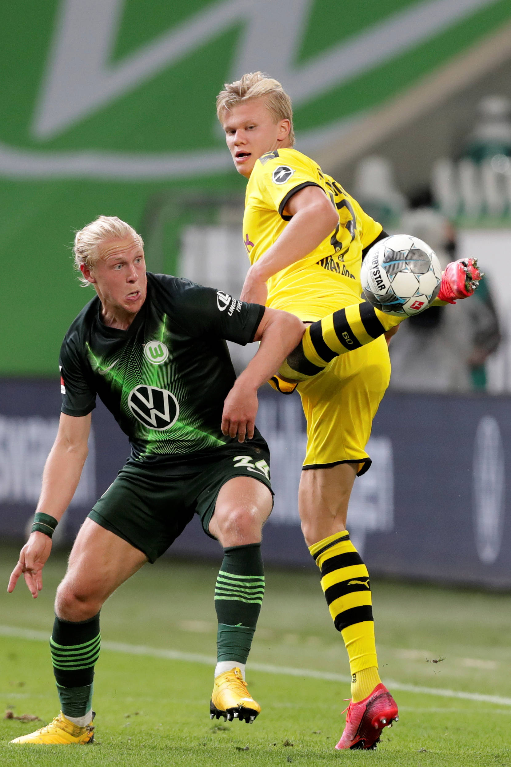 林德洛夫的 林德洛夫的