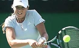 历史地位 历史地位