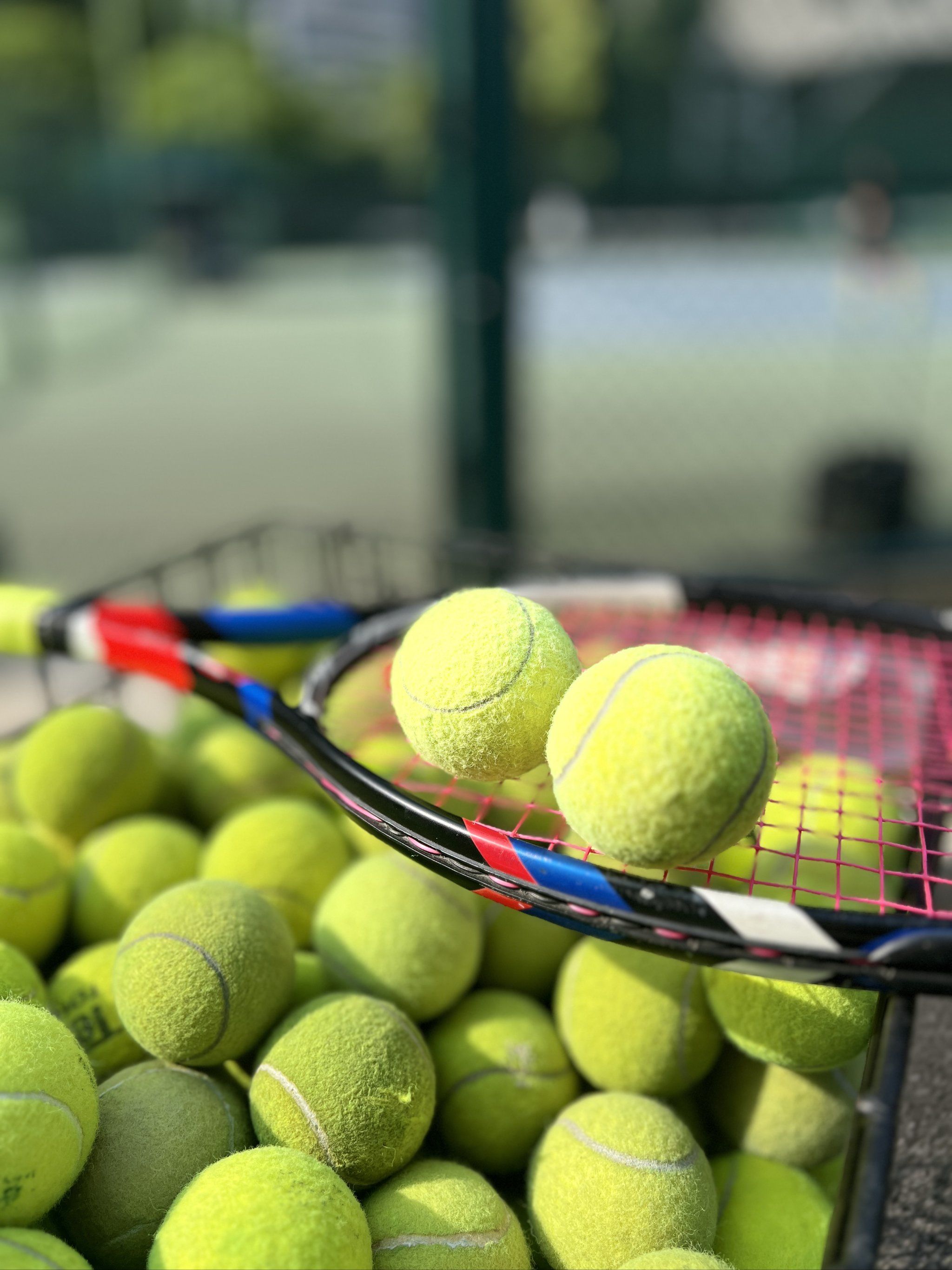 的休赛期 的休赛期