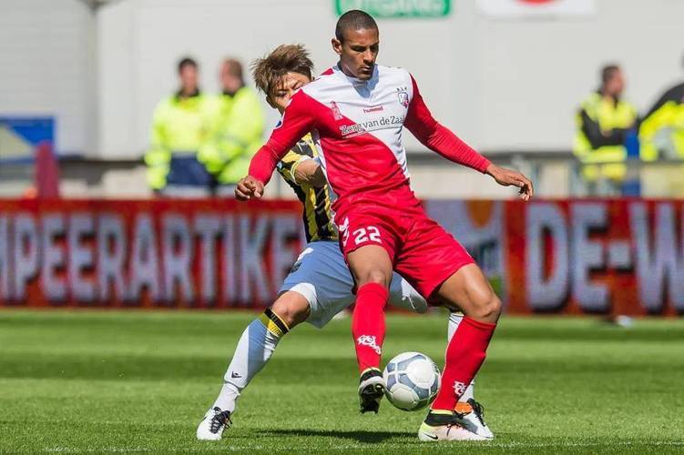 职业生涯的 职业生涯的