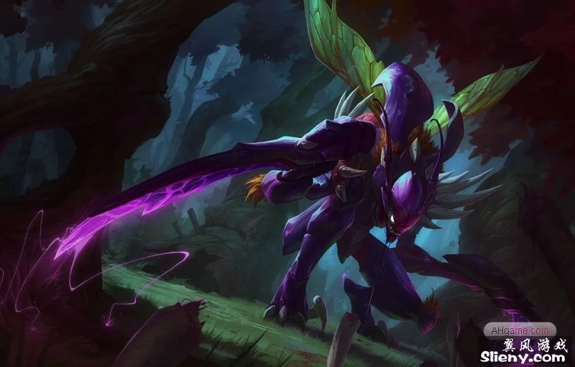 续为球迷带 续为球迷带